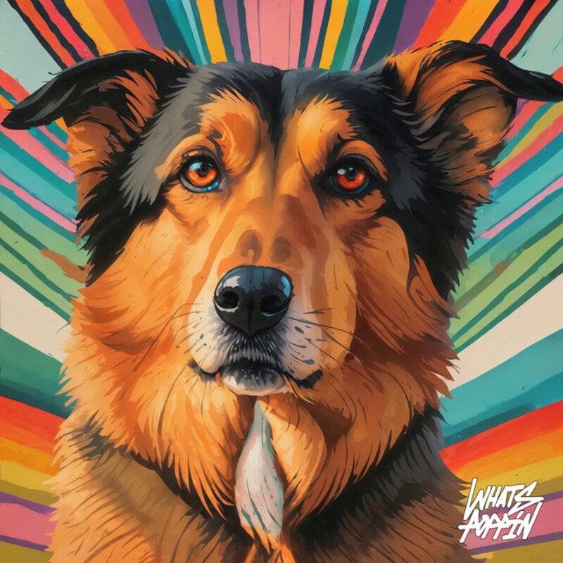 Not Normal — single by Unusual (WHATS POPPIN, 2026)